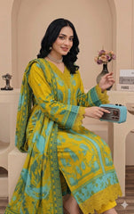 Ayra 3-Piece Embroidered Collection 2026 DM-121