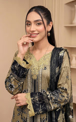 Ayra 3-Piece Embroidered Collection 2026 DM-124